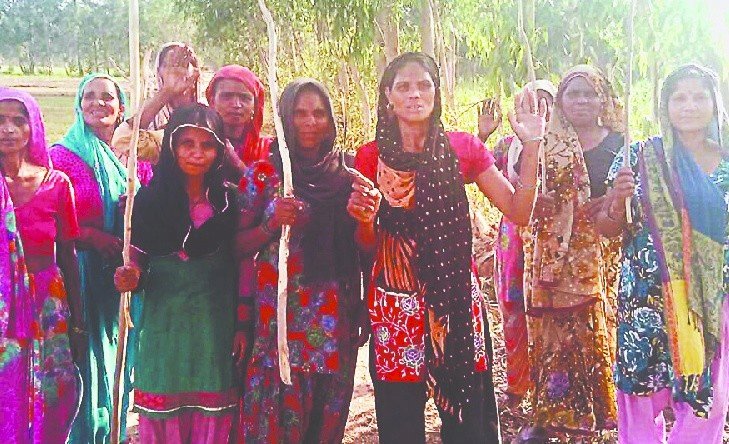 जंगल की रक्षा के लिए महिलाओं का समूह सक्रिय