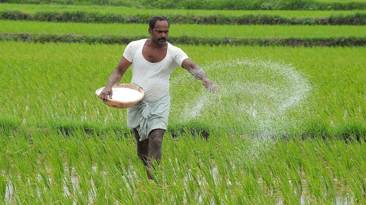 केंद्र सरकार का किसानों को तोहफा, फसलों के समर्थन मूल्य में की बढ़ोत्तरी, करोड़ों किसान होंगे लाभान्वित