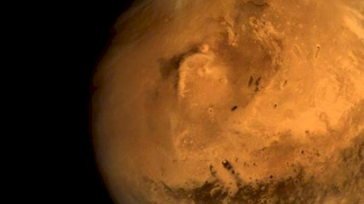 मंगल पर फिर मिले जीवन के संकेत,अमेरिकी प्रोफेसर ने सापों और मख्खियों जैसी आकृति होने का किया दावा, NASA के मार्स रोवर की तस्वीरों का दिया हवाला