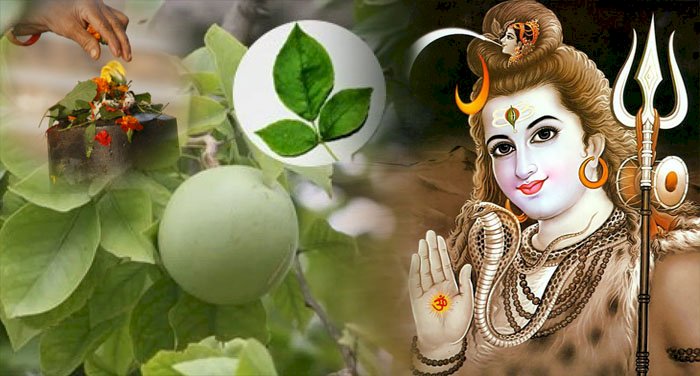 जानिए, कब है शिव की महान रात्रि ‘महाशिवरात्रि’ और क्या है भगवान शिव की पूजा-अर्चना और साधना का शुभ मुहूर्त?