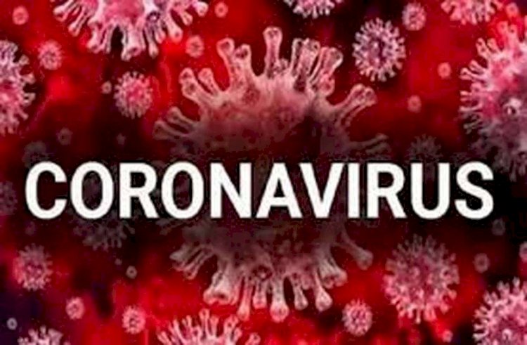 Corona Update : देश में नहीं थम रहा कोरोना का कहर,संक्रमितों की संख्या हुई 12380,मृतकों का आंकड़ा भी 414 तक पहुंचा