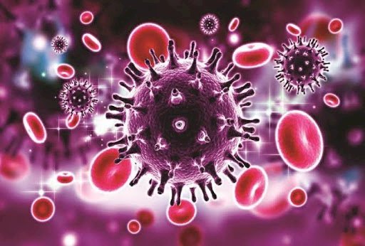 Corona Update : बिहार में भी कहर ढा रहा है कोरोना,तीन नए जिलों में जानलेवा वायरस ने दी दस्तक, 176 हुई संक्रमितों की संख्या