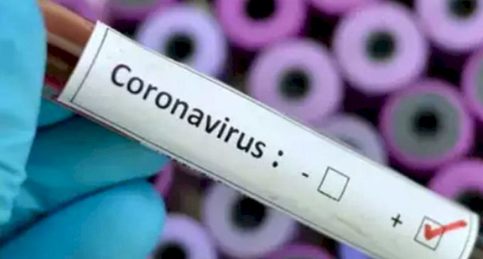 Corona Update : बिहार में तेजी से बढ़ रहे हैं कोरोना मरीज, 255 हुई संक्रमितों की संख्या, कैमूर पुलिस लाइन बना कोरोना हॉटस्पॉट