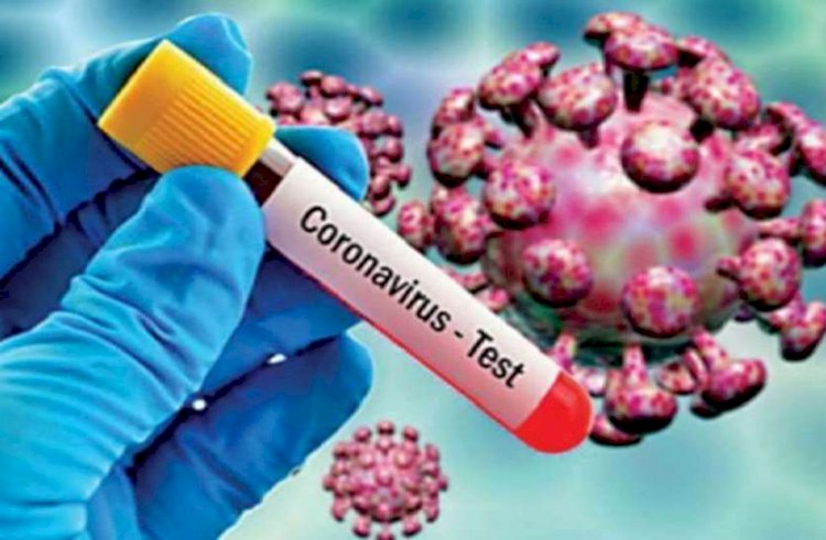 Corona Update : बिहार में तेजी से पैर पसार रहा है कोरोना वायरस,13 जिलों को किया गया रेड जोन में शामिल,365 हुई संक्रमितों की संख्या