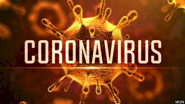 Corona Update : जानिए, भारत के किस राज्य में कितनी है कोरोना संक्रमितों की संख्या? अब तक कितने लोगों ने तोड़ा दम? 