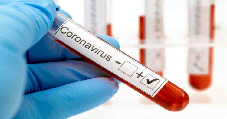 Corona Update : भारत में तेजी से हो रहा है कोरोना वायरस का प्रसार,संक्रमितों की संख्या पहुंची 59 हजार के पार,रिकवरी रेट में हो रहा है सुधार