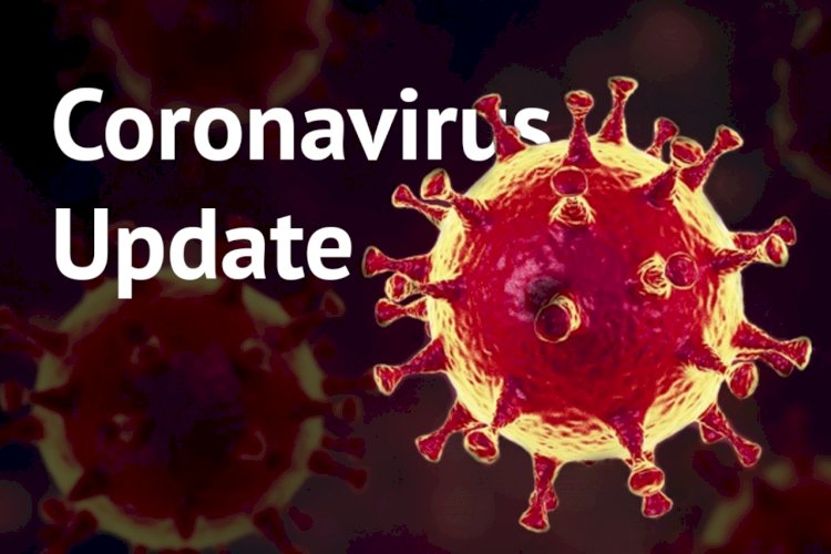 Corona Update : भारत में प्राणघातक कोरोना का तेजी से हो रहा है प्रसार, संक्रमितों की संख्या पहुंची 74 हजार के पार, 2415 लोगों की हुई मौत