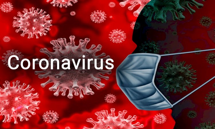 Corona Update : भारत में जारी है कोरोना वायरस का प्रसार, संक्रमितों का आंकड़ा पहुंचा 78 हजार के पार, अब लॉकडाउन-4 के लिए हो जाइए तैयार
