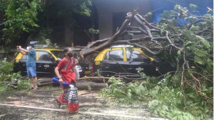 तौकते चक्रवात ने गुजरात, महाराष्ट्र में ऐसे मचाई तबाही, अब तक 12 की मौत, जानें राज्यों का हाल