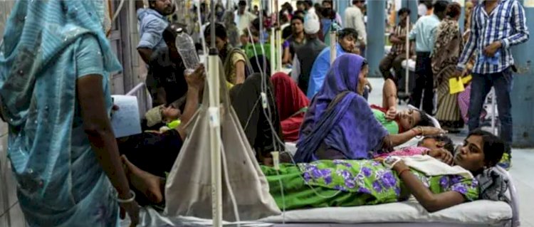 दिल्ली में इस साल डेंगू से पहली मौत, अब तक कुल मरीजों की संख्या 723 पर पहुंची