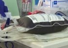 Corona Update : कोरोना महामारी के बीच आई राहत भरी खबर,भारत में पहली बार Covid-19 के इलाज में सफल हुआ प्लाज्मा परीक्षण