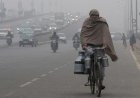 बिगड़ा मौसम का मिजाज: उत्तर भारत कड़ाके की ठंड से कांपा, जानें कहां कैसा रहा सर्दी का सितम