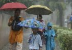 बिहार के इन 11 जिलों में अगले 24 घंटे में गरज के साथ बारिश के आसार, येलो अलर्ट जारी