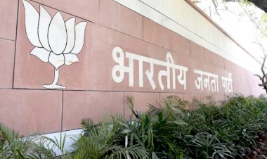 कौन लेगा अमित शाह की जगह?