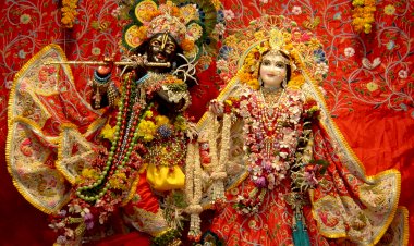 मानव जीवन में श्रीकृष्ण जन्माष्टमी का क्या है महत्व?