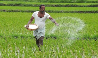 केंद्र सरकार का किसानों को तोहफा, फसलों के समर्थन मूल्य में की बढ़ोत्तरी, करोड़ों किसान होंगे लाभान्वित