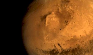 मंगल पर फिर मिले जीवन के संकेत,अमेरिकी प्रोफेसर ने सापों और मख्खियों जैसी आकृति होने का किया दावा, NASA के मार्स रोवर की तस्वीरों का दिया हवाला