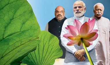 BJP को RSS की नसीहत,कहा-प्रधानमंत्री नरेंद्र मोदी और गृहमंत्री अमित शाह नहीं कर सकते हमेशा मदद,बीजेपी संगठन का करना होगा पुनर्गठन