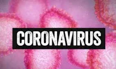 Corona Virus : नोएडा प्रशासन हुआ सचेत,एहतियातन 1000 देसी-विदेशी कंपनियों को भेजा गया अलर्ट नोटिस,दो स्कूलों को भी किया गया बंद