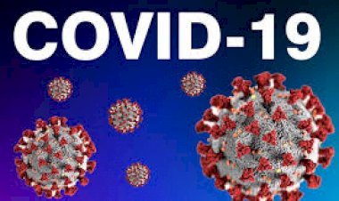 Corona Update : बिहार में संक्रमित मरीजों का आंकड़ा पहुंचा 50 के पार,सिवान में एक ही परिवार के 10 सदस्यों के पॉजिटीव पाए जाने से मचा हड़कंप