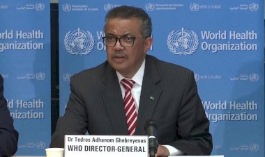 Corona Update : भारत में कोरोना मरीजों की बढ़ती संख्या ने बढ़ाई चिंता, जानिए, विश्व स्वास्थ्य संगठन ने देश के 7 राज्यों को क्या दी सलाह? 