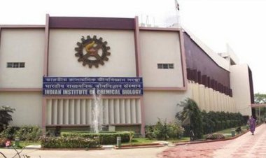 कोलकाता स्थित इंडियन इंस्टीट्यूट ऑफ केमिकल बायोलॉजी के शोधकर्काताओं का दावा,Covid-19 से रेस्पिरेट्री सेंटर ऑफ ब्रेन हो सकता है संक्रमित, जानिए, रिसर्च में और क्या है खास?