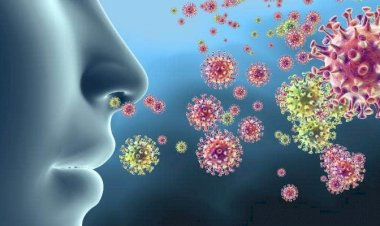 B.1.617 को कोरोना का ‘इंडियन वेरिएंट’ कहने पर भारत सरकार ने जताई आपत्ति, बोला- WHO ने ऐसा नहीं कहा