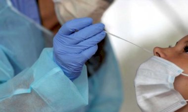 यूपी, बिहार, राजस्थान जैसे राज्यों में सैकड़े के अंदर सिमटा कोरोना, फिर रोज कहां से आ रहे 35-40 हजार नए केस!