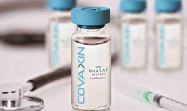 भारत बायोटेक की 'कोवैक्सीन' को मंजूरी मिलने में होगी देरी, WHO ने मांगा और डाटा