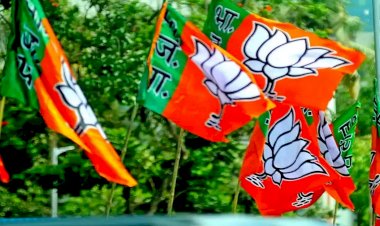 बीजेपी ने जारी की उम्मीदवारों की 11वीं लिस्ट, 3 सीटों पर प्रत्याशियों के नामों का ऐलान